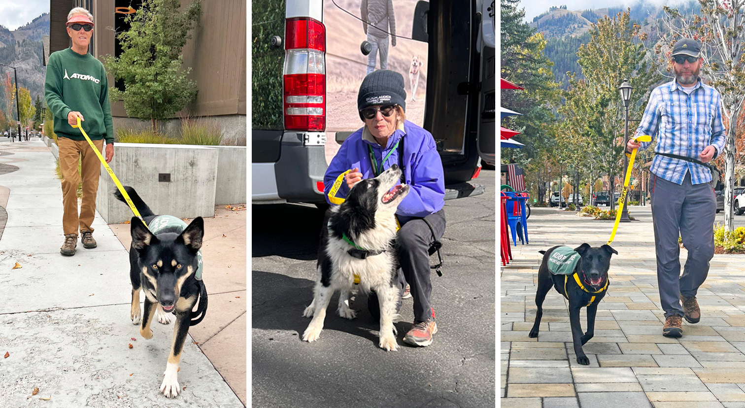 paws-around-town