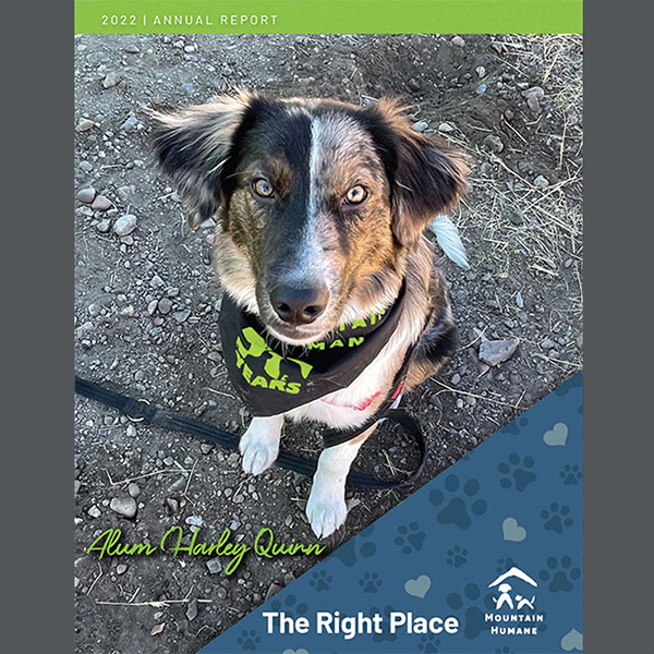 Mountain Humane 2022 Report
