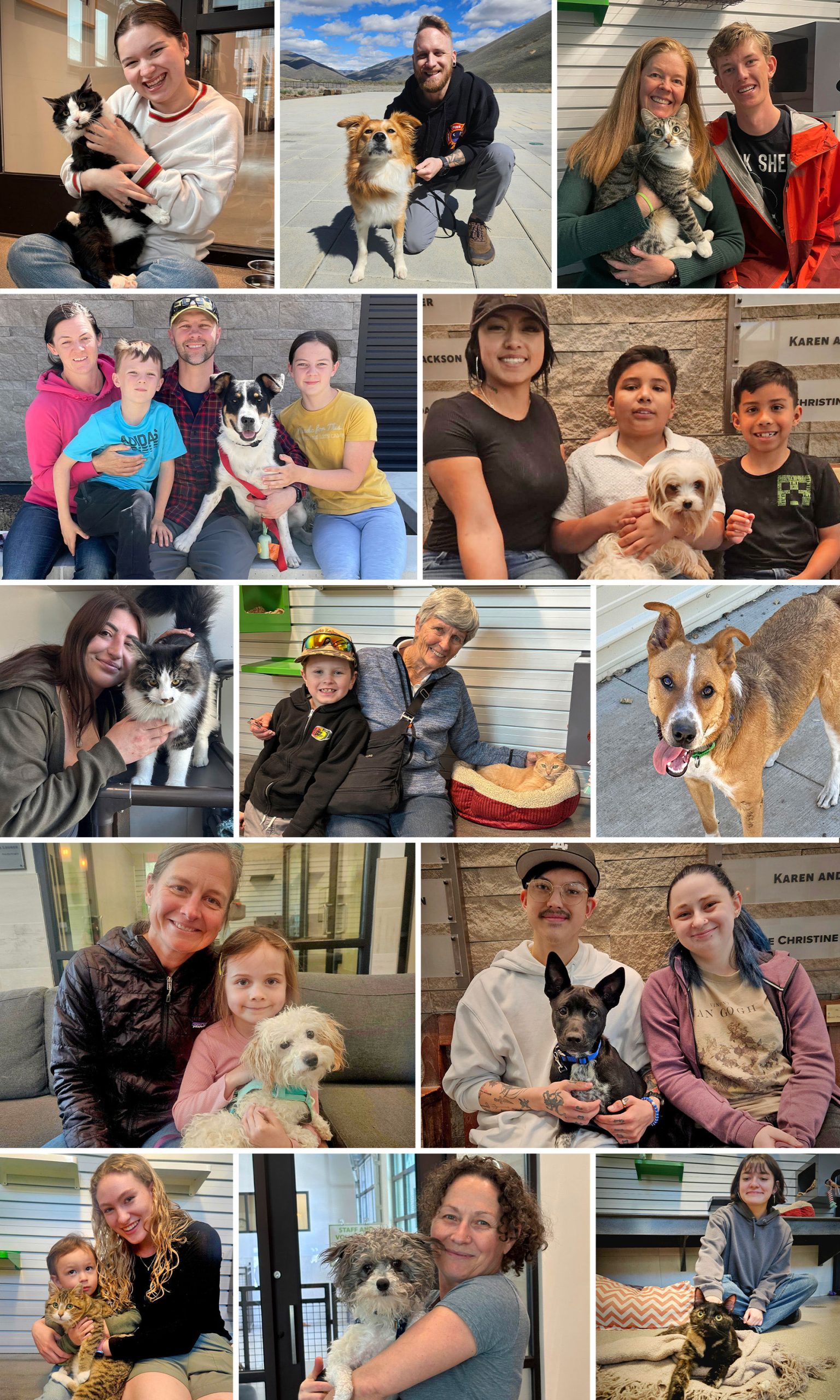2026-04 Mountain Humane adoptions