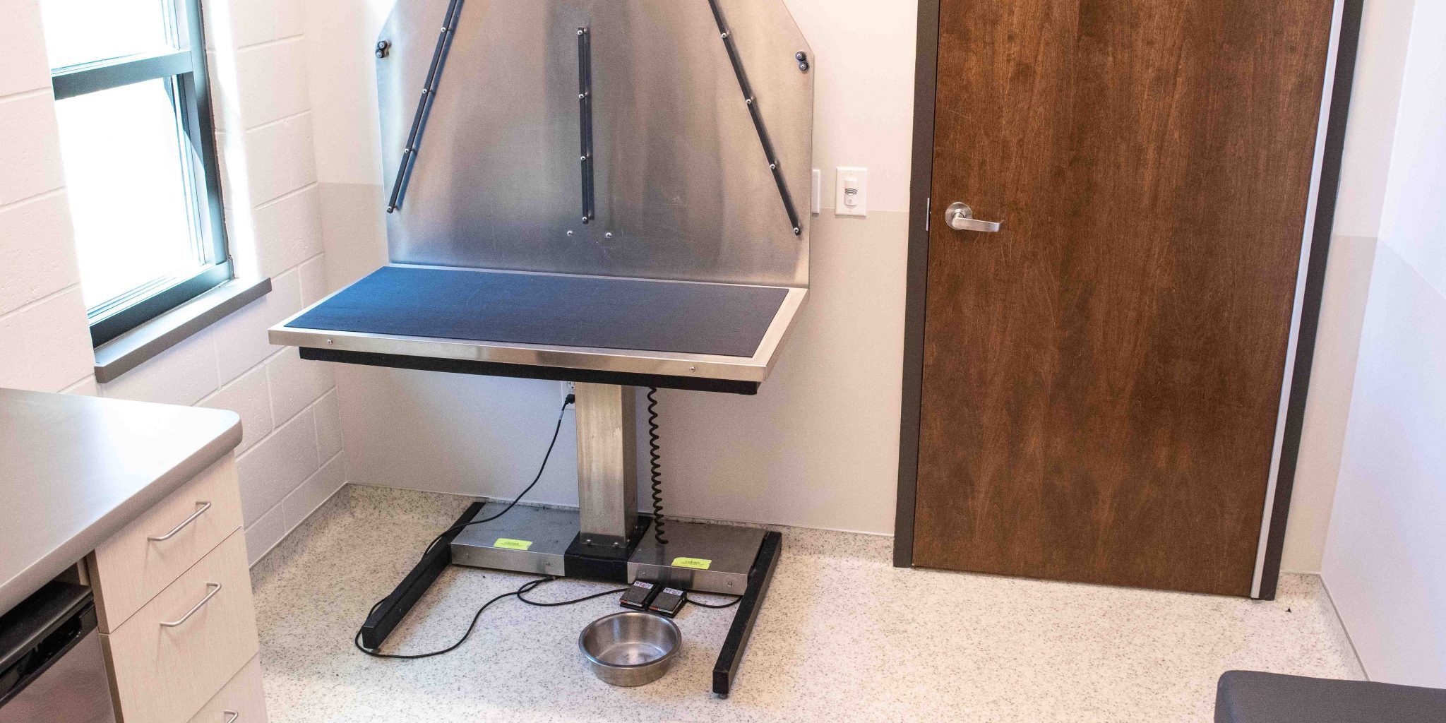 Room with a large dog weighing scale against the wall next to a door