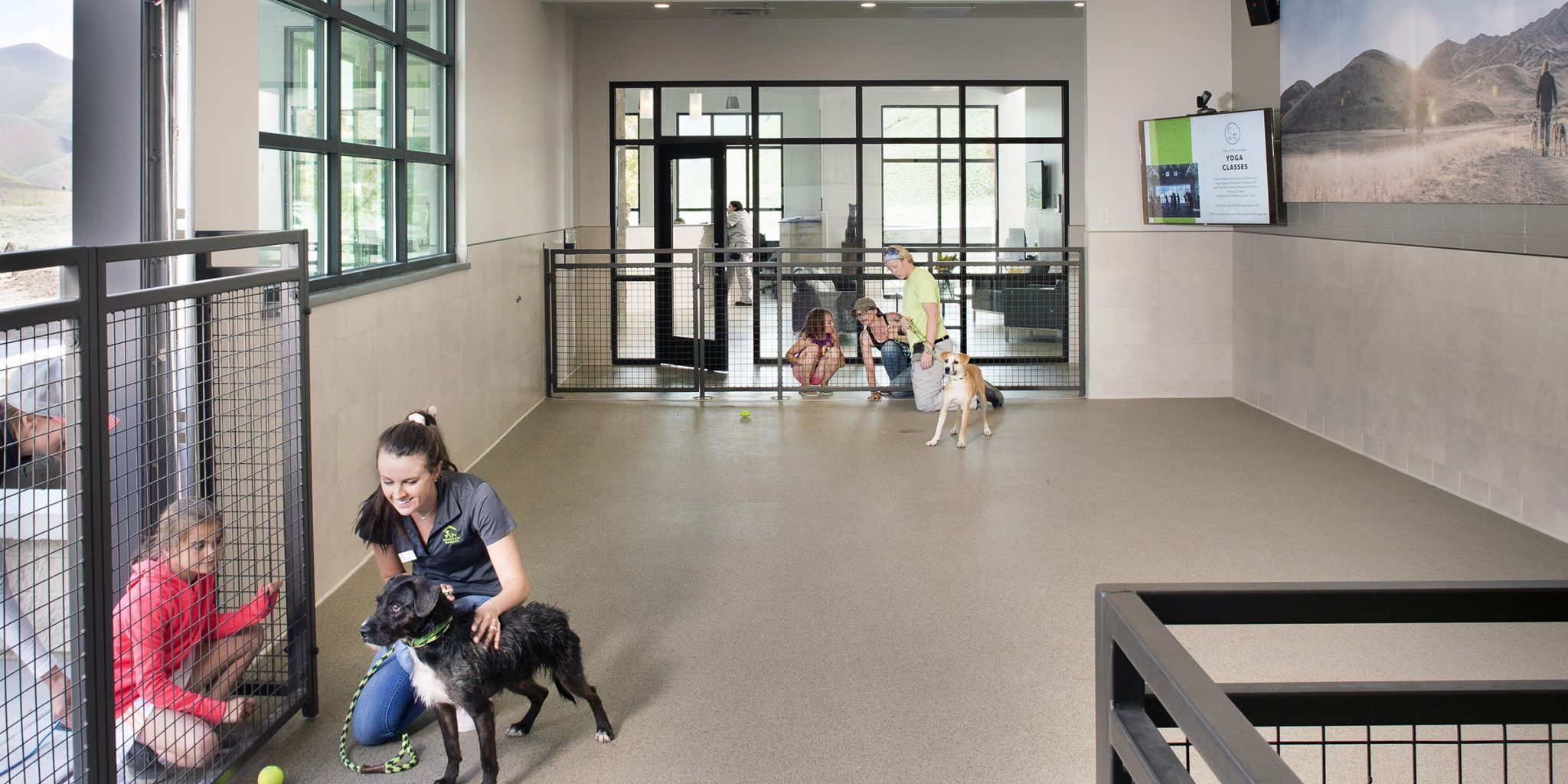 Spacious toom with a grated gate, employees showing dogs to families outside the gate